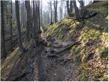 Stahovica - Gradišče (Velika planina)